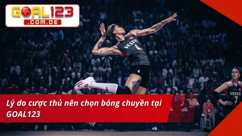 Trải nghiệm bet kèo Bóng Chuyền đẳng cấp tại nhà cái