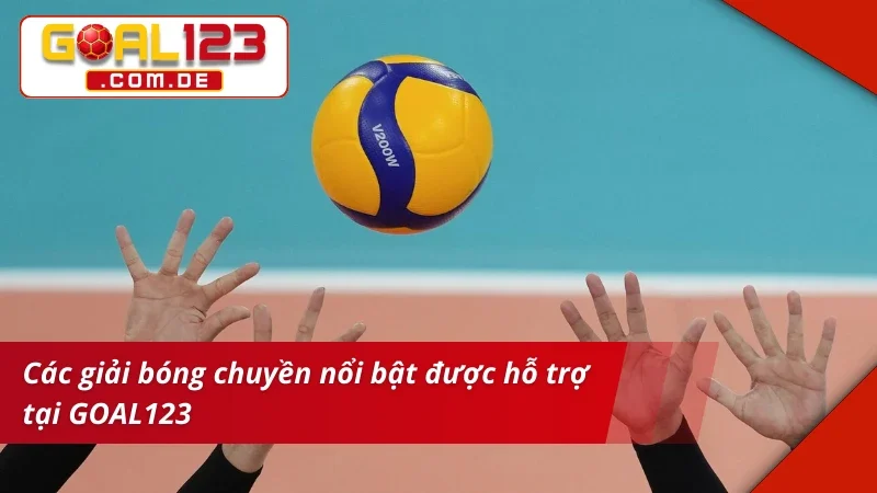 Bet kèo Bóng Chuyền sôi động với nhiều giải đấu