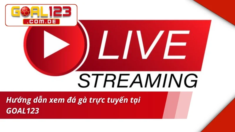 Đá Gà GOAL123 – Bet Kèo Thắng Lớn Cùng Trường Gà Danh Tiếng 4 Xem live Đá Gà với độ trễ bằng 0 tại nhà cái