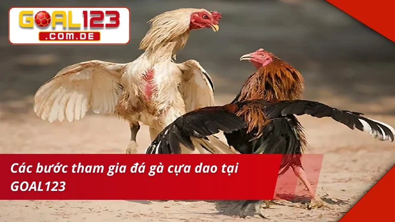 Đá Gà Cựa Dao: Chinh Phục Những Kèo Gà Chọi Máu Lửa Tại GOAL123 4 Tân thủ vào kèo Đá Gà Cựa Dao siêu đơn giản