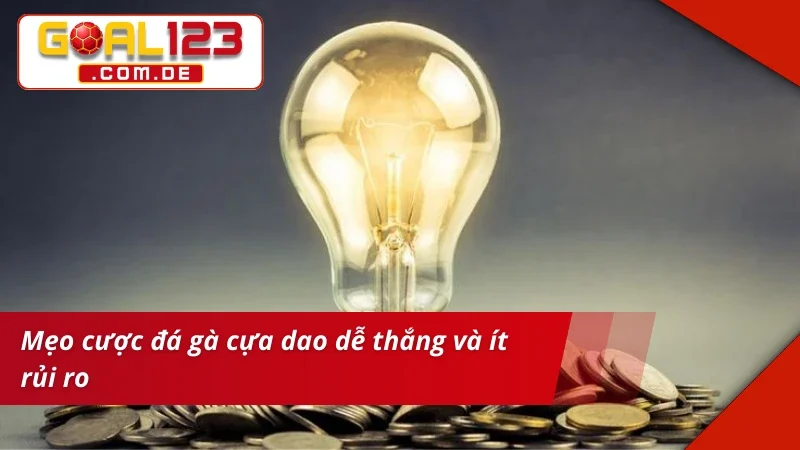 Đá Gà Cựa Dao: Chinh Phục Những Kèo Gà Chọi Máu Lửa Tại GOAL123 6 Mẹo chinh phục thắng lớn cùng Đá Gà Cựa Dao