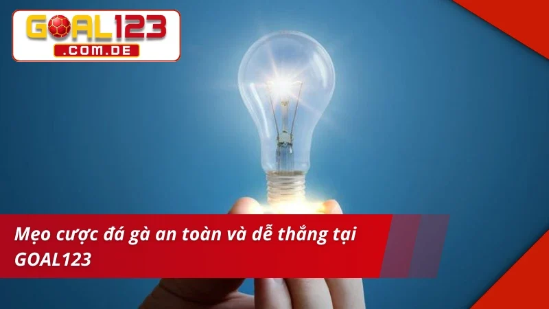 Mẹo chinh phục thắng lớn cùng Đá Gà Cựa Sắt