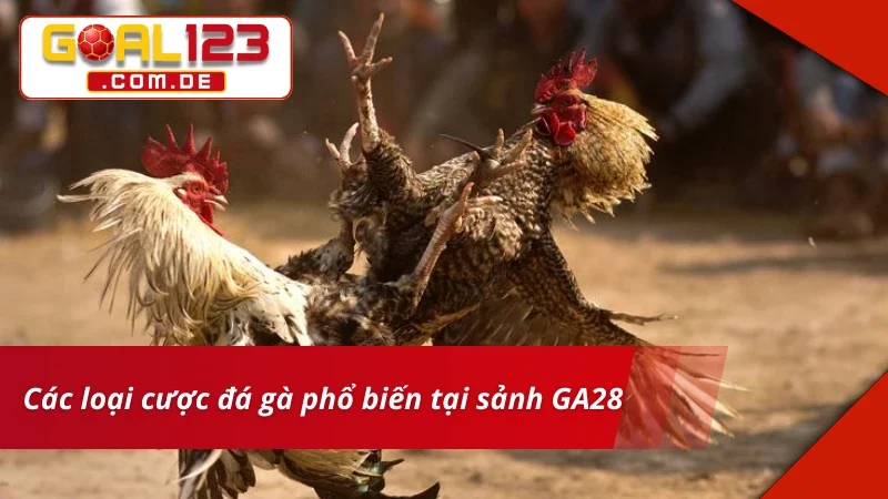 GA28 Đá Gà – Sảnh Cược Chất Lượng Xem Live Siêu Nét Tại GOAL123 4 Cá cược chuẩn kèo cùng GA28 Đá Gà