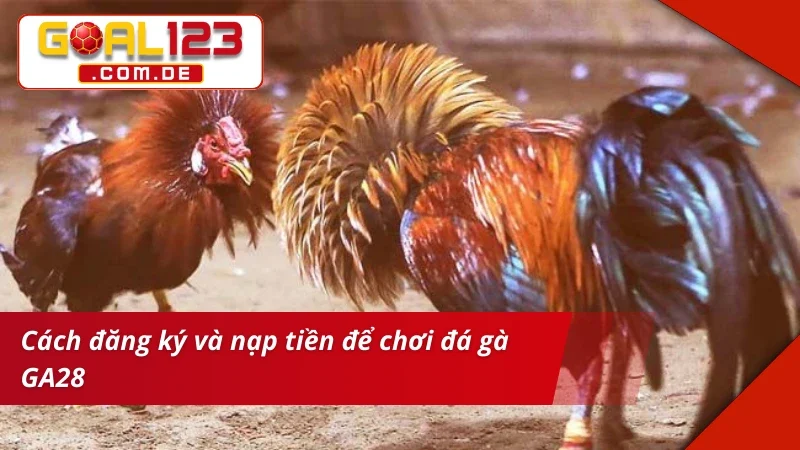 GA28 Đá Gà – Sảnh Cược Chất Lượng Xem Live Siêu Nét Tại GOAL123 5 Tạo lập và nạp tiền nhanh để vào chơi GA28 Đá Gà