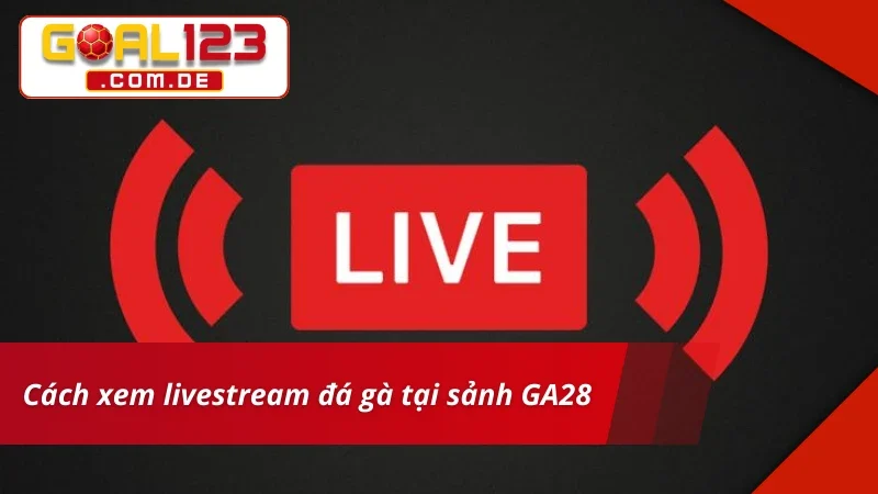 GA28 Đá Gà – Sảnh Cược Chất Lượng Xem Live Siêu Nét Tại GOAL123 6 GA28 Đá Gà hỗ trợ xem livestream siêu nét